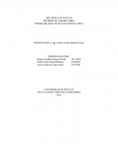 INFORME DE LABORATORIO PERMEABILIDAD DE SUELOS GRANULARES