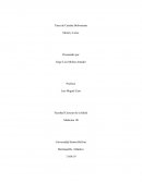 ¿A qué se refieren las expresiones "moral" y "luces"?