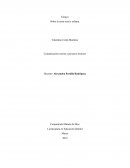 Sobre la zona rural y urbana