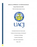 ENSAYO PELICULA INTO THE WILD