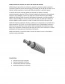 ESPECIFICACION TECNICA PARA CABLES ACAR