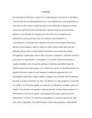 Conclusion los fenómenos sociales