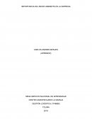 Importancia del medio ambiente en la empresa