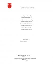 ALGEBRA LINEAL VECTORES. Página 1