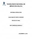 Proyecto Final Sistemas Operativos