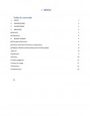 El Proceso de Atención de Enfermería