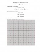 PROYECTO DE ELASTICIDAD APLICADA