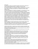 Análisis del libro "El cuento de la criada"