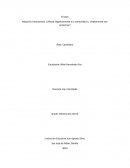 Adopción homosexual ¿Afecta negativamente a la comunidad o, simplemente son prejuicios?