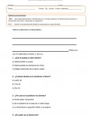 ¿Prueba libro “¿Qué perdió el ratón Simón?”