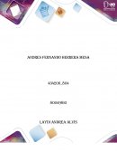 Problemática social seleccionada Discriminación o matoneo en los colegios