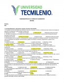 Resumen de cadena de suministro