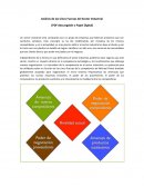 Análisis de las Cinco Fuerzas del Sector Industrial