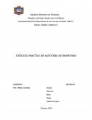 EJERCICIO PRÁCTICO DE AUDITORIA DE INVENTARIO