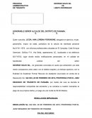 Apelacion Proceso Administrativo de Transito