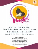 Propuesta de inversión de cultivo de berenjena en Mazatón, Sinaloa