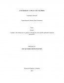 Ventajas o desventajas que se generan al abordar los casos penales aplicando esquemas gerenciales