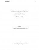 MATRIZ BCG (Modelo Boston Consulting Group)