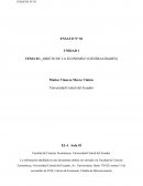 Los Sectores Económicos