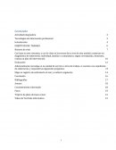 Actividad integradora. Tecnologías de información profesional