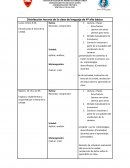 Distribución horaria de la clase de lenguaje de 4º año básico