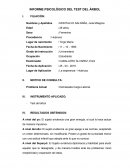 Informe del test del Árbol