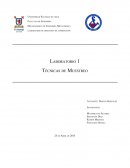 Laboratorio muestreo de minerales