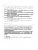 Desarrollo de una organización