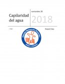 Capilaridad del agua