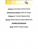 Secuencia didáctica para nivel inicial: La palpa