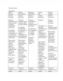 Programa actividades fin de curso