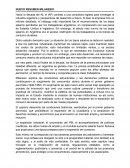 NUEVO RESUMEN MILANESIO