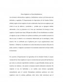 Vinos Orgánicos vs Vinos Biodinámicos