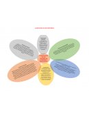 Clasificación de los traumas psicopatologia