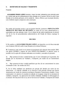IMPUGNACION VIALIDAD. Página 1