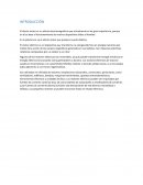 Práctica Física El efecto motor