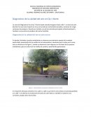 Diagnostico de la calidad del aire en Eje 1 Norte