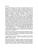 RESUMEN: EN LA FISCALIA DE PLAYA VICENTE