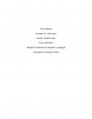 Didáctica, fundamento en educación y pedagogía