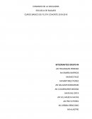 COMANDO DE LA ESCUADRA