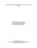 PLAN DE MERCADEO PARA LA EMPRESA ALPINA S.A AL HORIZONTE DEL AÑO 2022