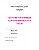 Factores Ambientales Que Afectan Nuestra Salud