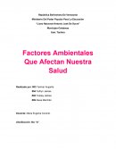 Factores Ambientales Que Afectan Nuestra Salud