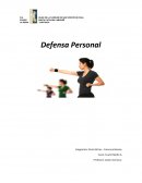Defensa Personal