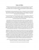Ensayo de Política