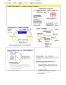 Componentes territoriales