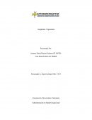 Matriz de Evaluación Biomecanica y Mental para Puestos de Trabajo