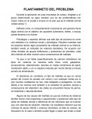 Maltrato y abandono animal