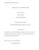 La Salud de los Hijos... ¿Responsabilidad de los Padres?