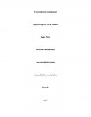 El precedente constitucional en Colombia